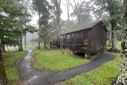 A cabin in the middle of trees on a foggy day