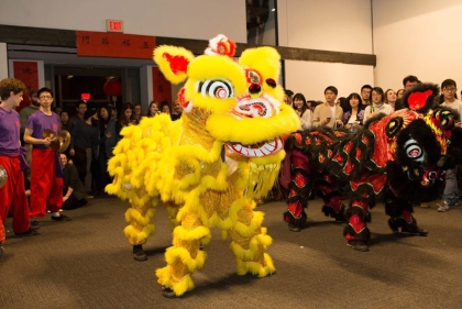 Dragon costume for Chinese new year