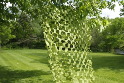 Outdoor installation hanging from tree