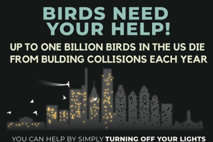 Birds Need Your Help sign