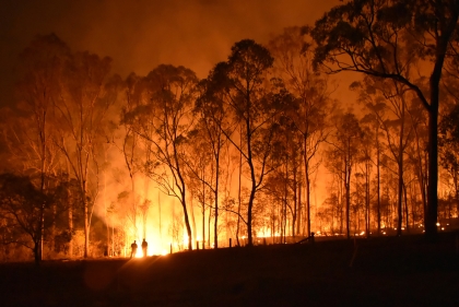 Night view of trees with flames rising from behind