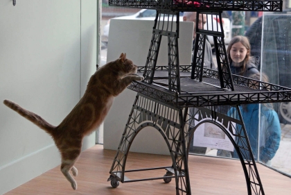 Cat jumping on to play structure inspired by Eiffel Tower.