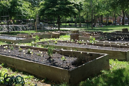 Student run gardens on Penn Campus