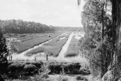 landscape photo in black and white 