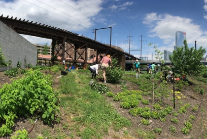 Garden on campus