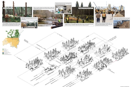 A series of illustrations depict forest management tools like controlled burns and thinning.