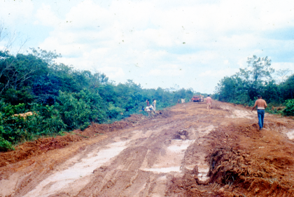 Forest cleared for highway in 1980s Brazil