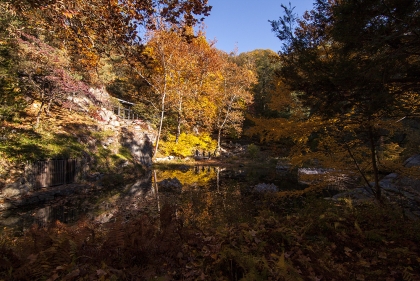 Fall foliage around a lake