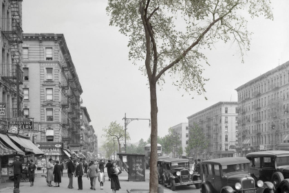 Cover of "Seeing Trees". Cover image is a street tree.