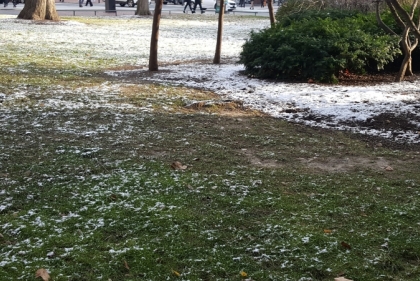 Sprinkling of snow on lawns of Penn campus