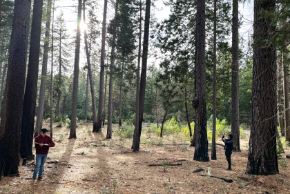 Two men standing in clearing in the forest make observations and take notes