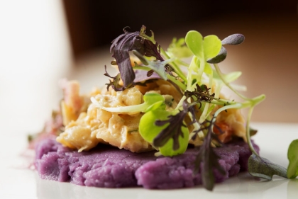 Vegan concoction topped with microgreens 