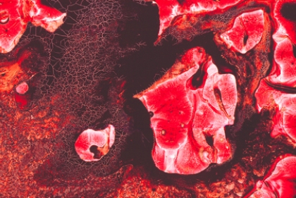Close up of breast milk