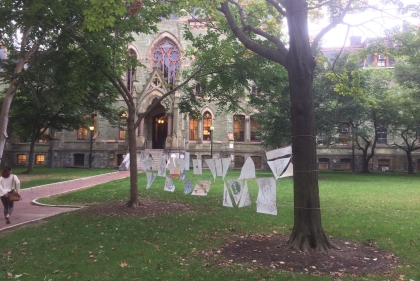 Outdoor installation hanging from tree