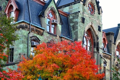 Fall colors on Penn Campus