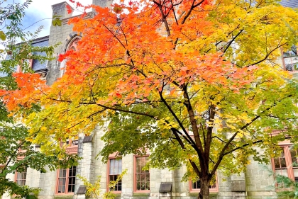 fall on campus