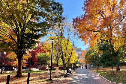 fall leaves on campus