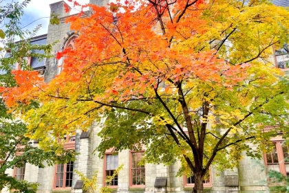Fall Leaves on Campus