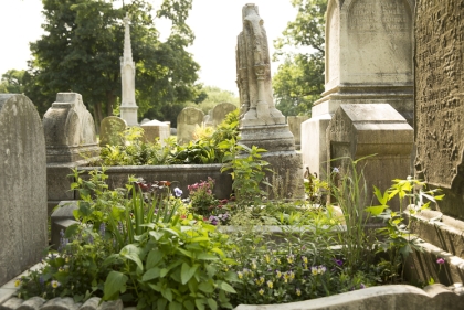 Old Graveyard with Beautiful Overgrowth