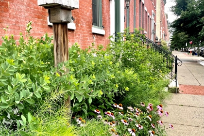 Image of classic Philly brownstown buildings.