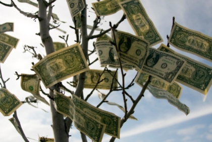 Dollar bills caught in otherwise leafless tree