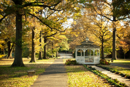 Park with pagoda and fall foliage
