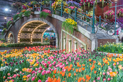 Exhibit in Philadelphia Flower Show