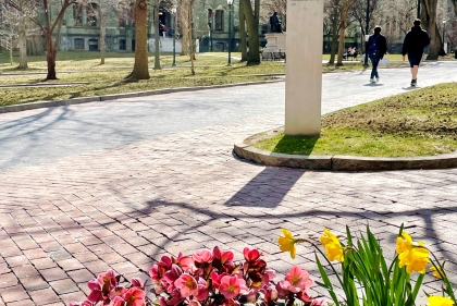 Flowers blooming on campus.