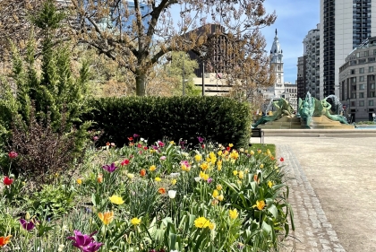 spring flowers at Logan Square Park with City Hall in the background