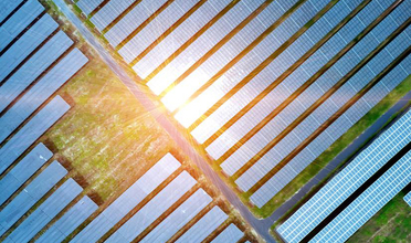 Solar panels seen from above reflect sunlight