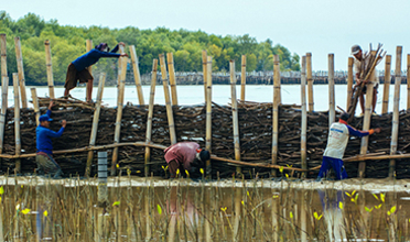 Five men constructing a wall-like structure in water out of bamboo and other natural materials