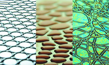 Composite of three images with repeating natural patterns