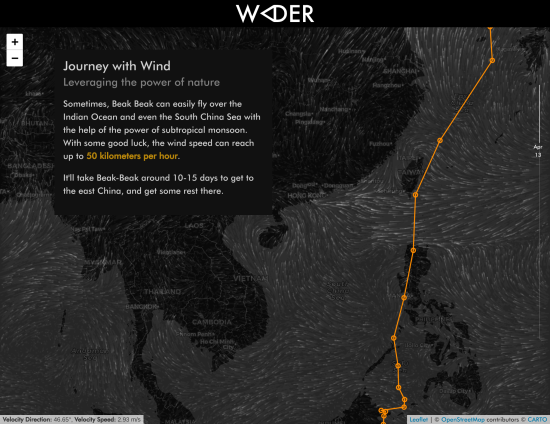 Wader: Great Knot Migration Story