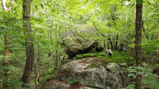 A person squatting next to a large boulder in the woods