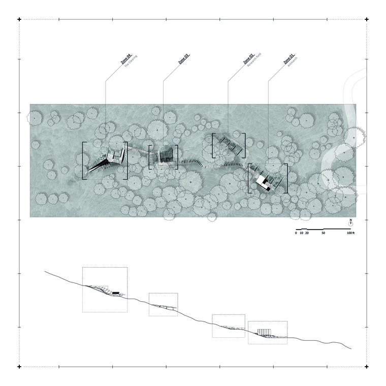 A plan of the slender salamander habitat patch with a section.