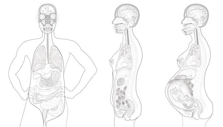 Medical diagram showing anatomy of three figures