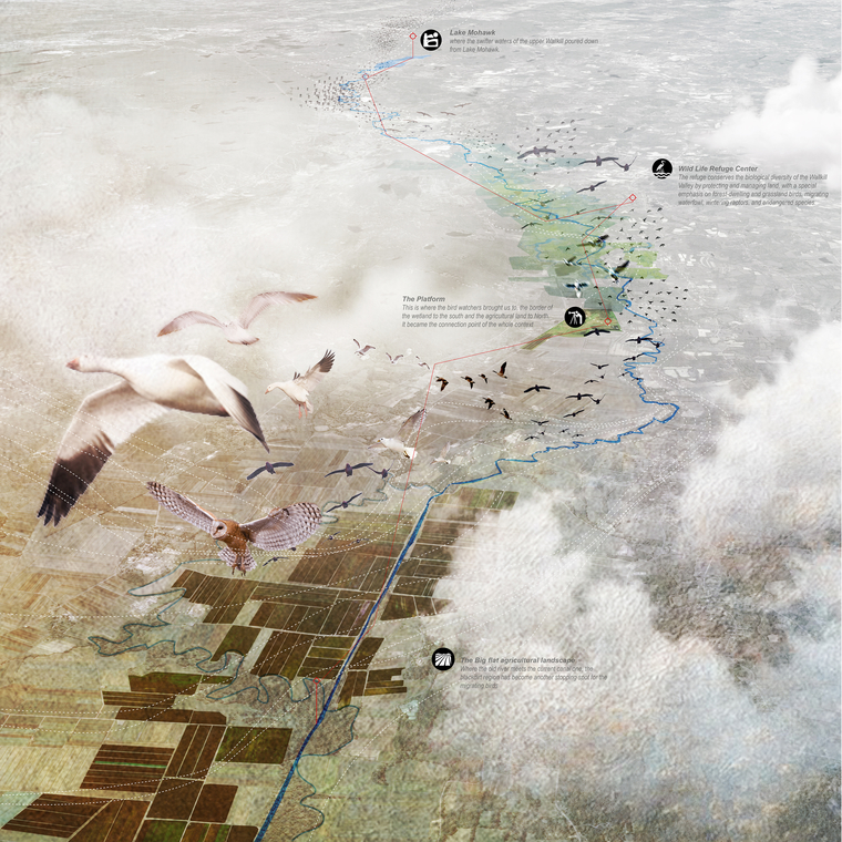 Migrating birds fly along the river through the Drownland