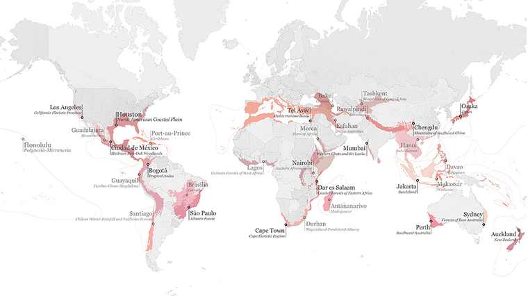 World map showing hot spot cities in red
