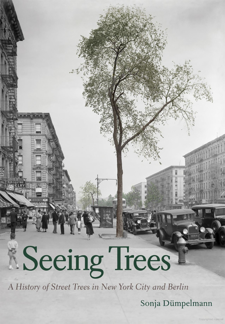 Cover of Seeing Trees book by Sonja Dumpelmann