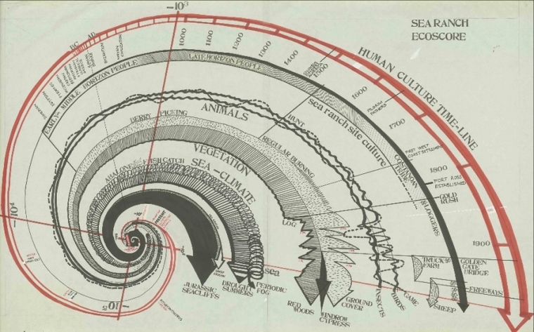 Earth timeline superimposed over seashell