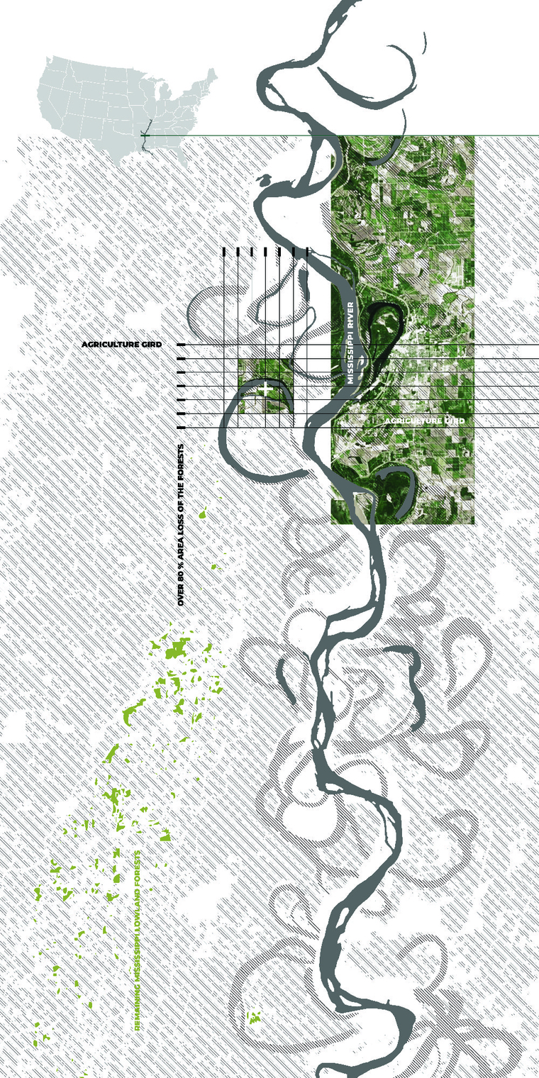 Over the past few hundred years, human farmland has occupied more than 80% of the degraded forests along the Mississippi River.