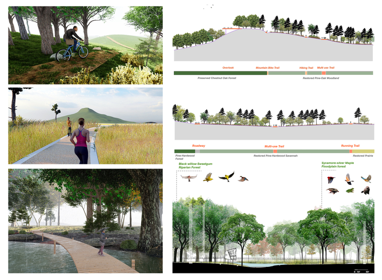 The trail system interacts with the eco matrix to give the experience of habitat transect and also the magical surprise views.