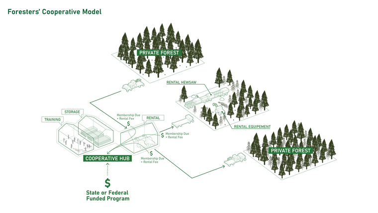 Foresters' cooperative model for family owned forest in the southeastern US
