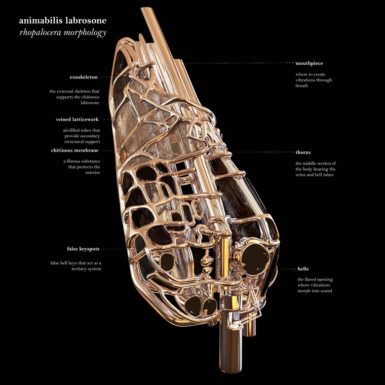 An instrument interlaced with animalistic characteristics.