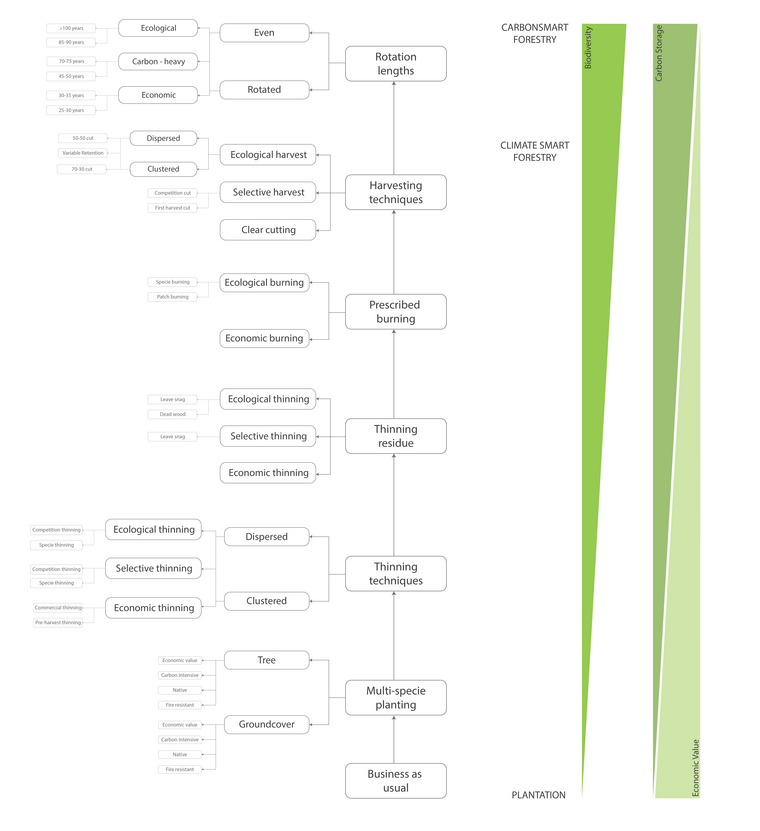 The new vertical forest management