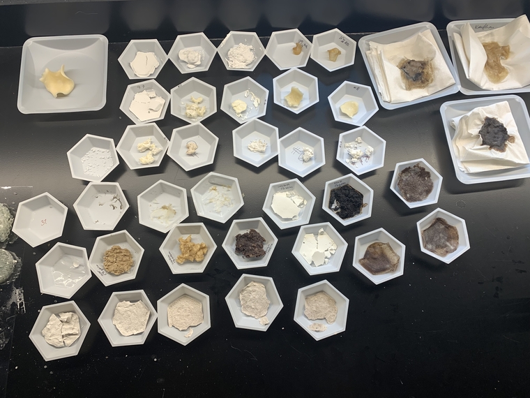 Preliminary testing involved the formulation of various concentrations, ratios, and combinations of binders and fillers in order