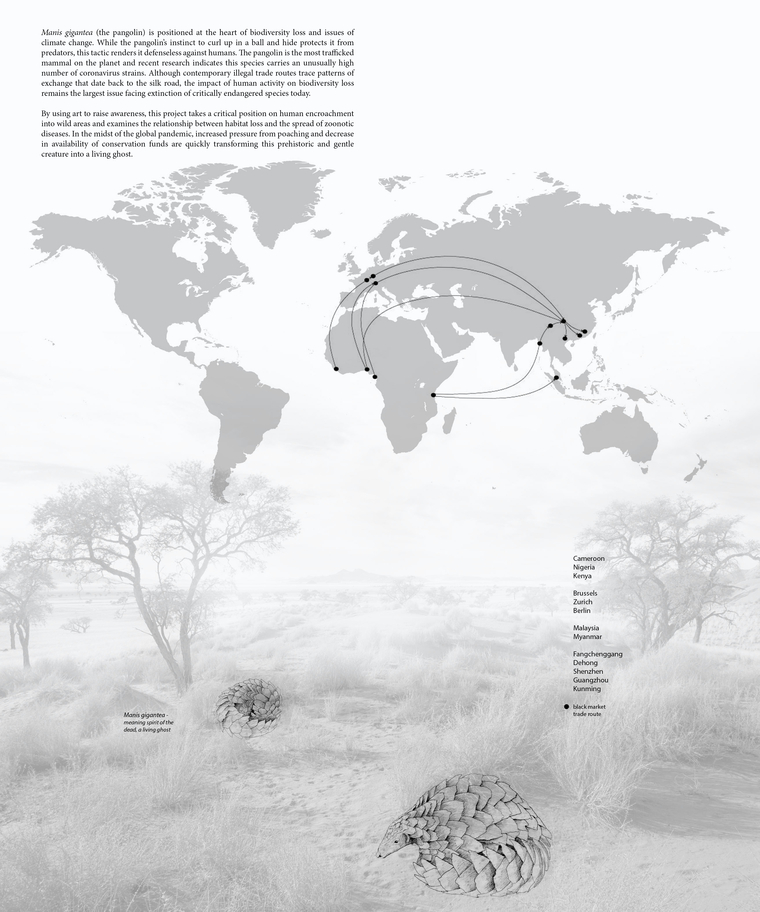 Introduction to Pangolin habitat loss and relationship with global transport networks