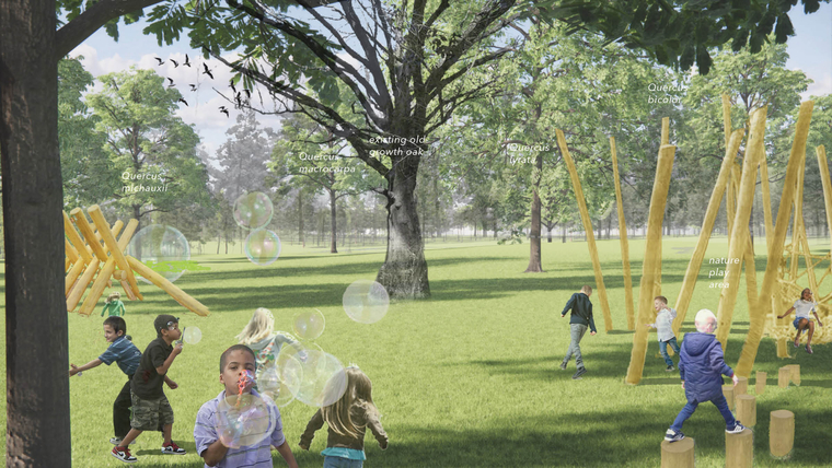 Children playing in an oak grove