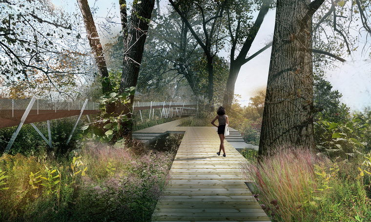 A woman walks along the ground trail, passing the cottonwood canopy with newly planted nateve herbs.