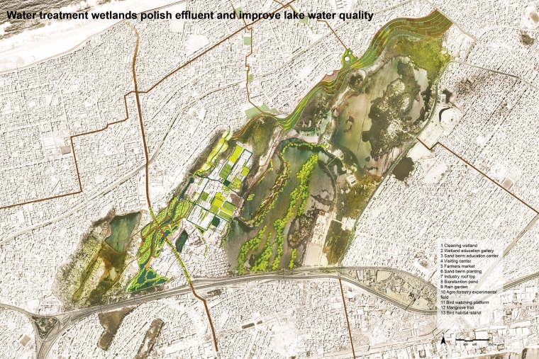 Water treatment wetlands polish effluent and improve lake water quality